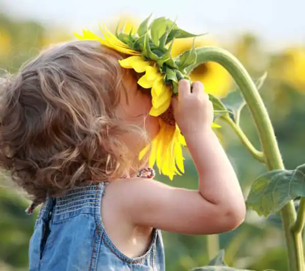 تعبیر خواب بوی گل برای زن متاهل و باردار و دختر مجرد از روانشناسی