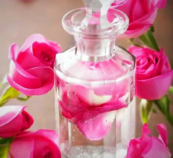 تعبیر گلاب در خواب امام صادق برای زن متاهل و باردار و دختر مجرد از روانشناسی