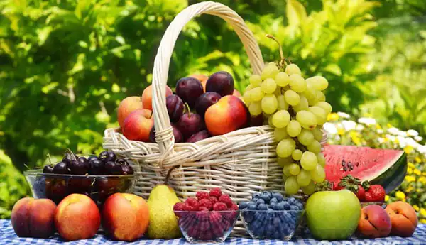 تعبیر خواب میوه گرفتن از معشوق برای زن متاهل و باردار و دختر مجرد از روانشناسی