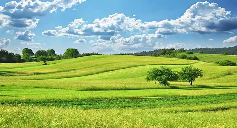 
تعبیر خواب زمین سرسبز برای زن متاهل
تعبیر خواب زمین کشاورزی برای دختر مجرد
تعبیر خواب زمین کشاورزی دیگران
تعبیر خواب زمین کشاورزی امام صادق
تعبیر خواب زمین کشاورزی سرسبز
تعبیر خواب خریدن زمین امام صادق
تعبیر خواب زمین سرسبز برای دختر مجرد
تعبیر خواب زمین مسکونی